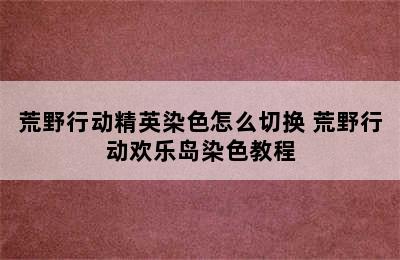 荒野行动精英染色怎么切换 荒野行动欢乐岛染色教程